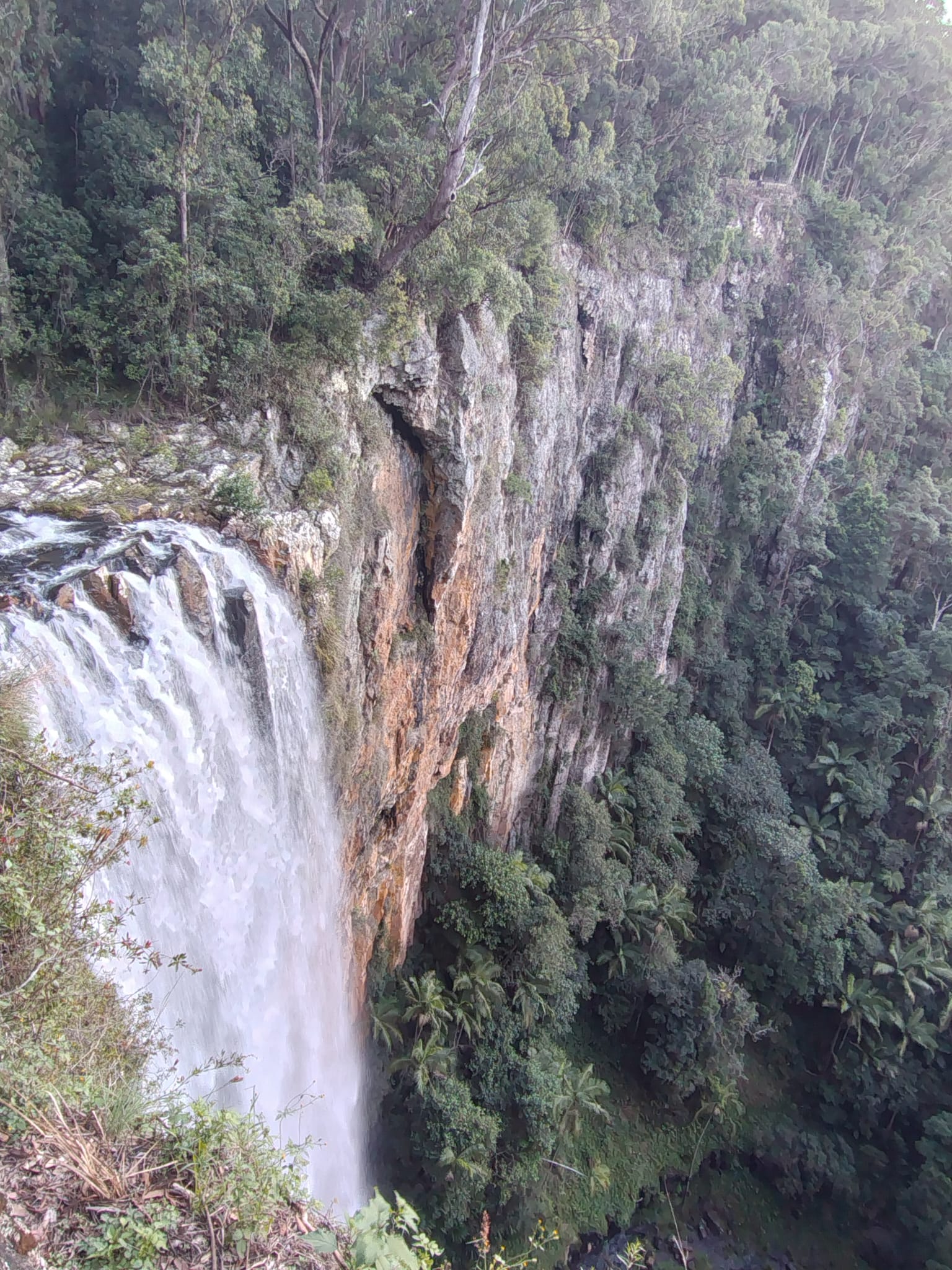 Purling Brook Falls close view Springbrook