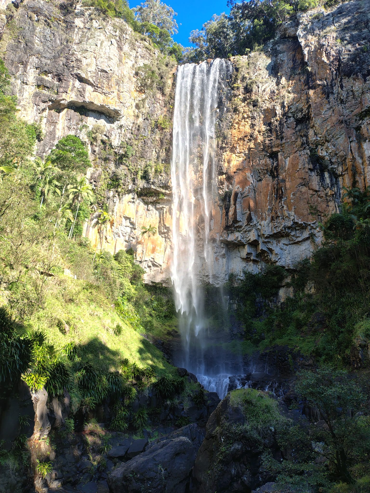 Springbrook waterfall private tour