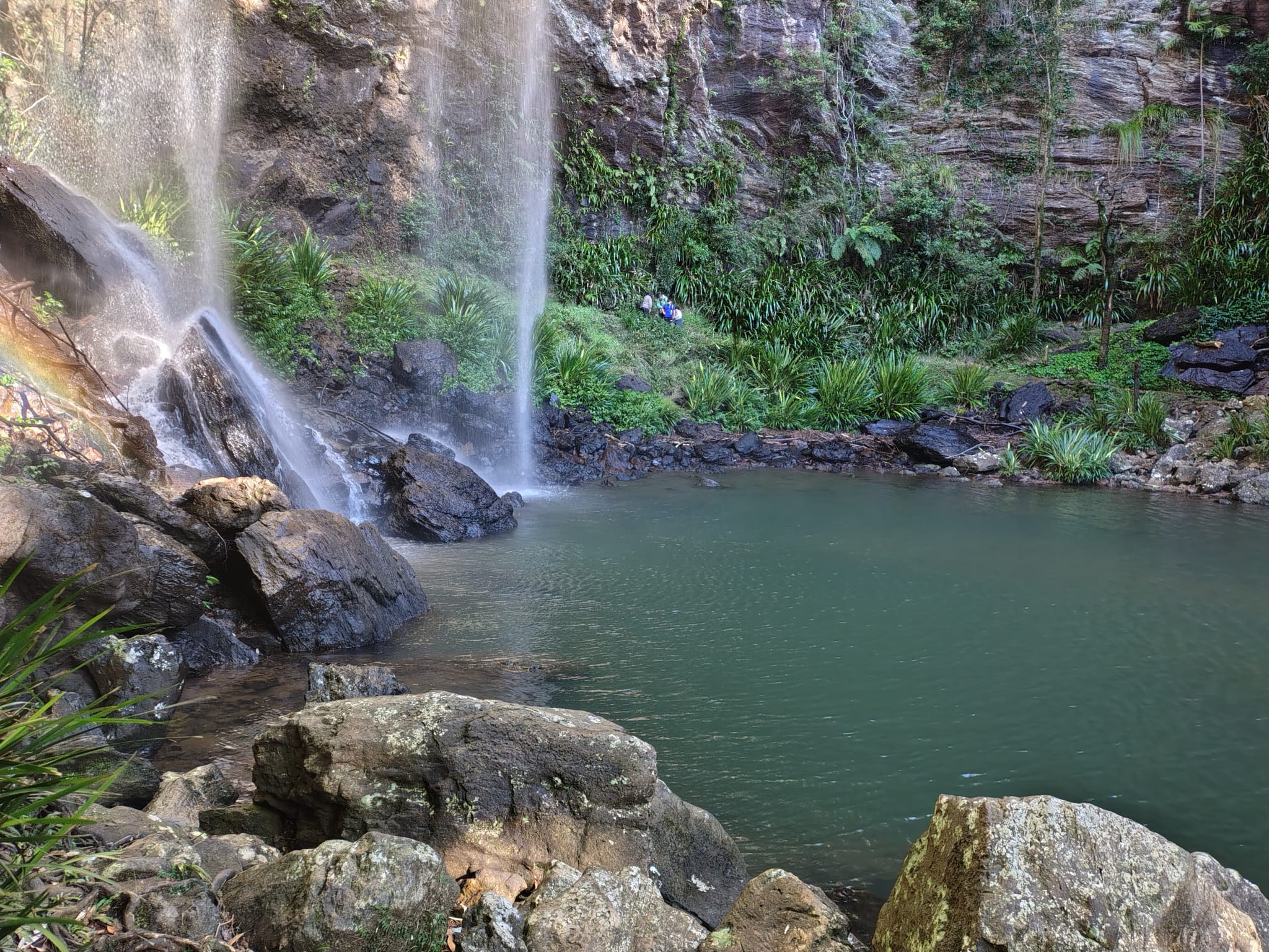 Twin Falls waterfall pool Springbrook