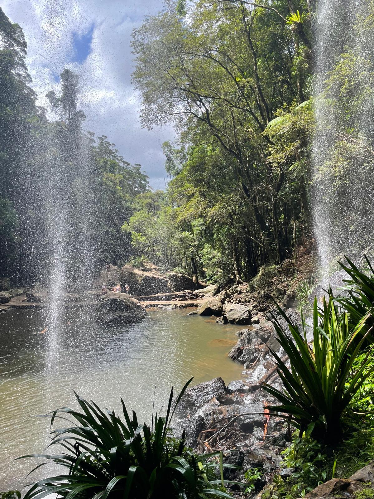 Walk behind a waterfall at Springbrook