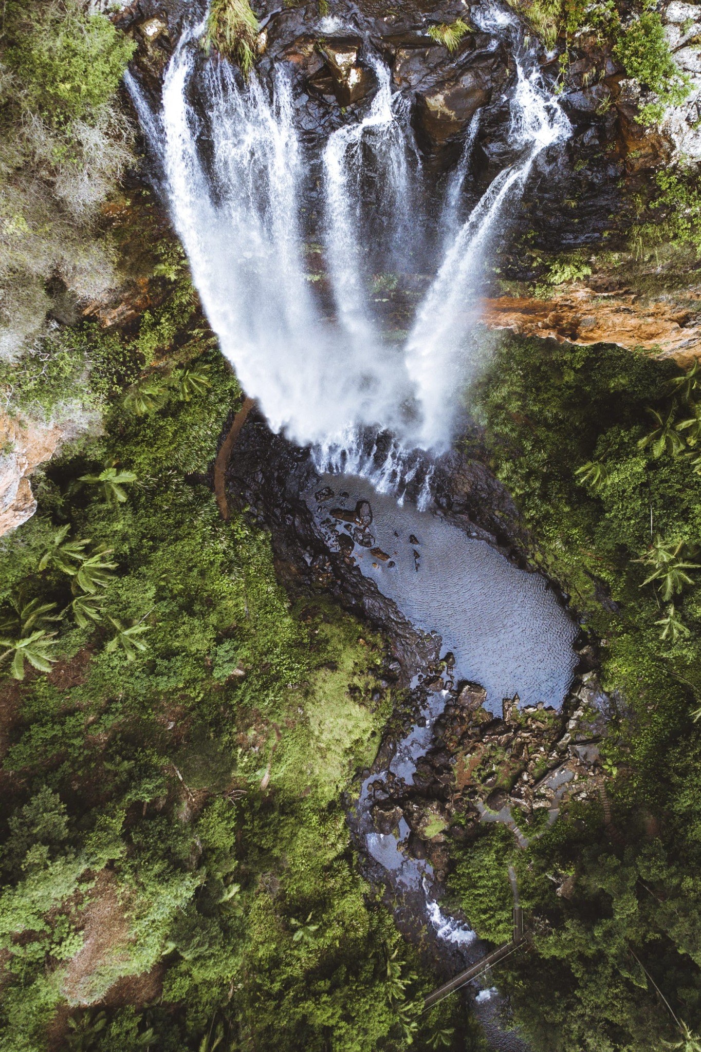 Spectacular rainforest and waterfalls in Springbrook National Park